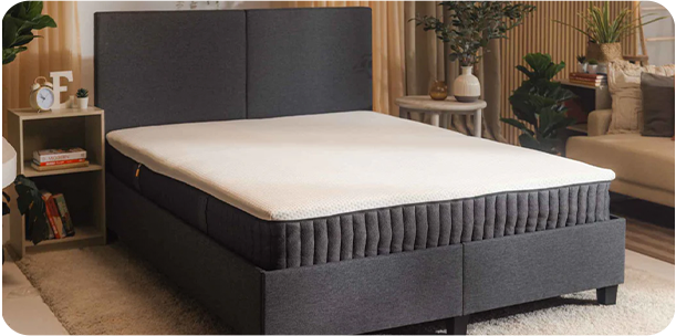 エマハイブリットV2