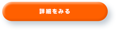 詳細をみる