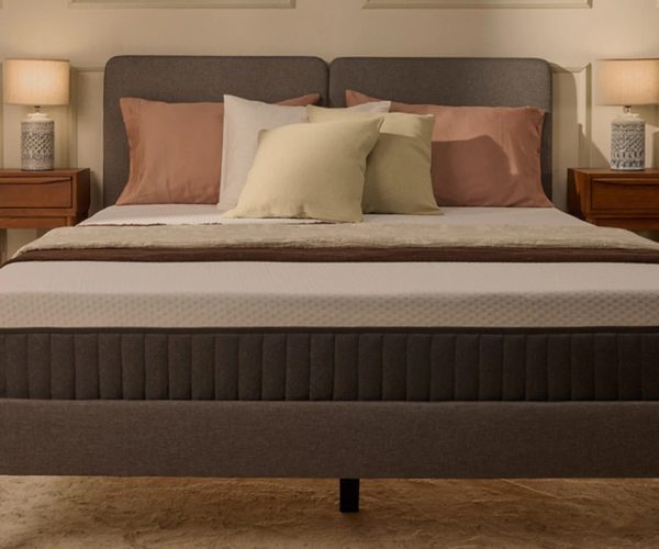 エマ・プレミアムV2n